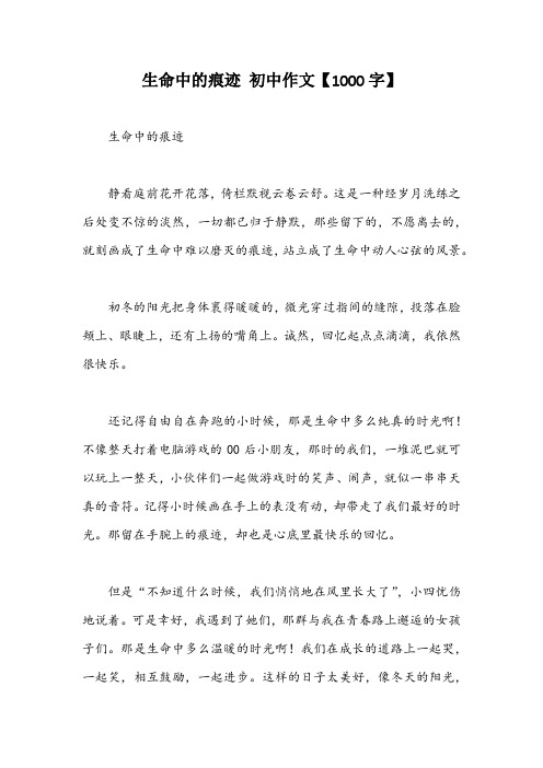 生命中的痕迹 初中作文【1000字】