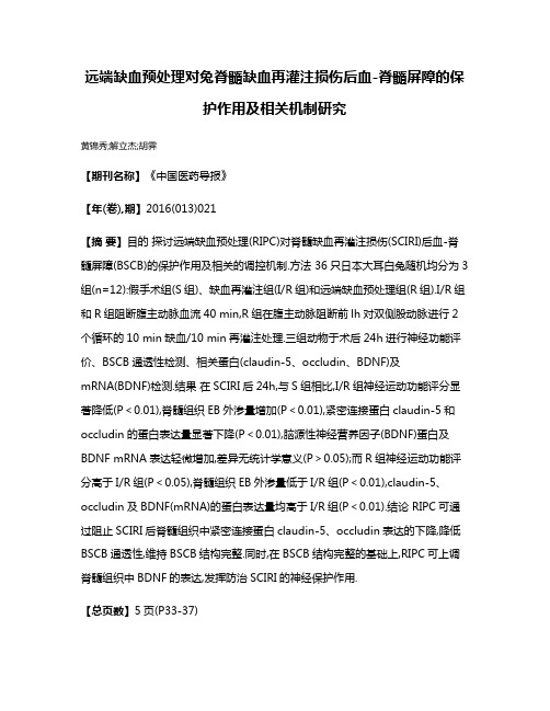 远端缺血预处理对兔脊髓缺血再灌注损伤后血-脊髓屏障的保护作用及相关机制研究