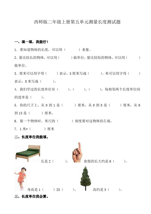 西师版二年级上册第五单元测量长度测试题