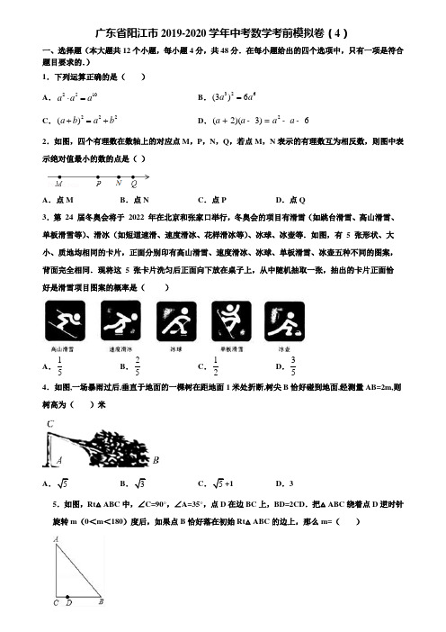 广东省阳江市2019-2020学年中考数学考前模拟卷(4)含解析