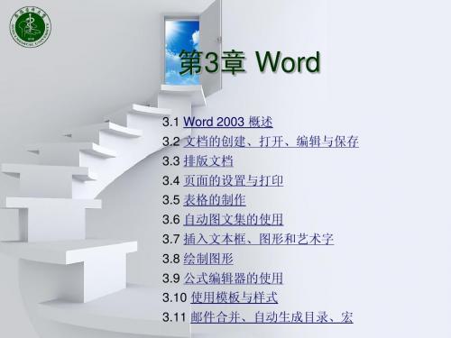 Word 2003