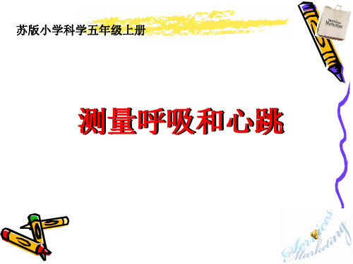 测量呼吸和心跳