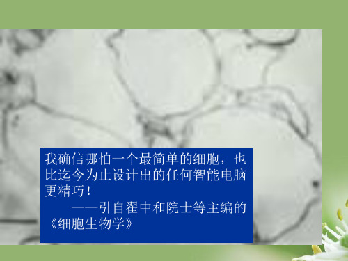 细胞膜——系统的边界ppt28 人教课标版精选教学PPT课件