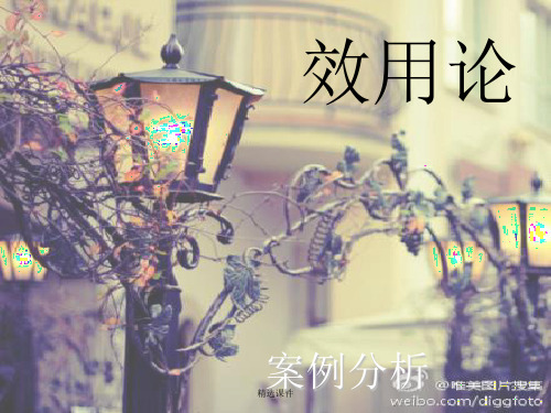 西方经济学(微观)效用论案例分析