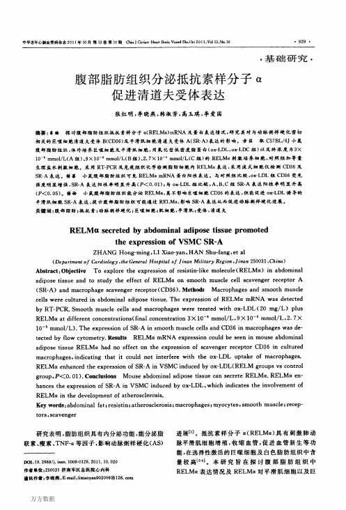 腹部脂肪组织分泌抵抗素样分子α促进清道夫受体表达