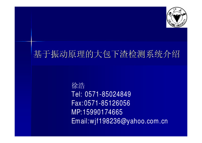 浙江大学VSD2000下渣检测系统介绍