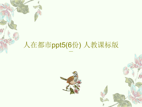 人在都市ppt5(6份) 人教课标版PPT共41页