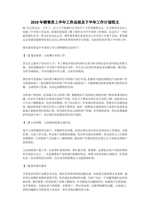 2019年销售员上半年工作总结及下半年工作计划范文