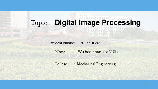 英语presentation