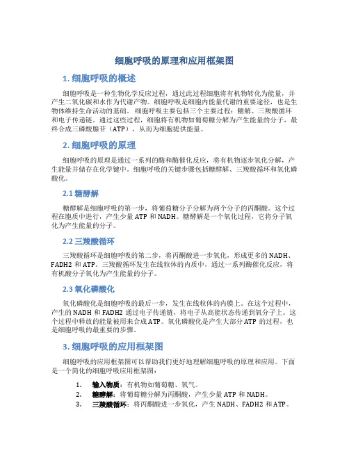 细胞呼吸的原理和应用框架图