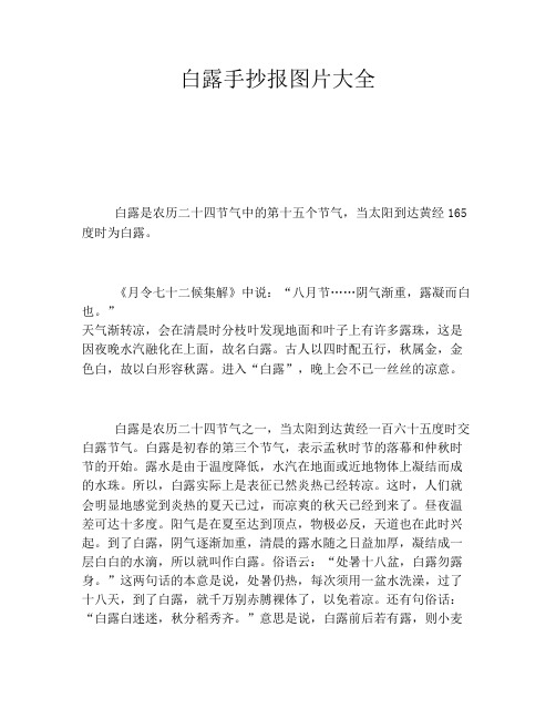 白露手抄报图片大全