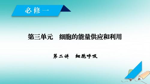 高考生物一轮总复习第三单元细胞的能量供应和利用第2讲细胞呼吸课件新人教版必修10730378