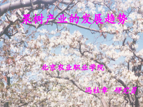 果树产业的发展趋势PPT课件