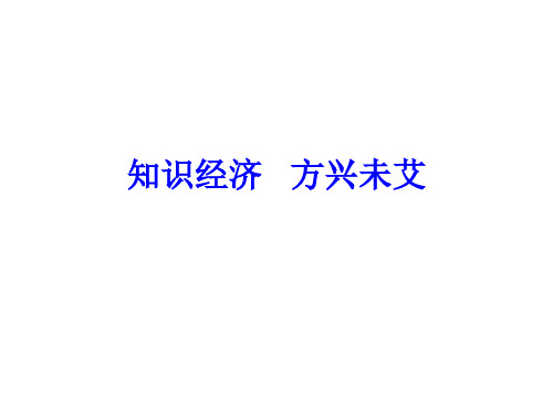 知识经济---方兴未艾