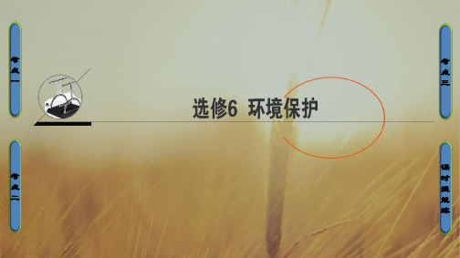 2020中图版地理高考一轮复习课件：选修6 环境保护 推