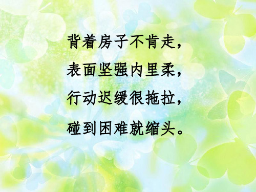 小学二年级美术《会变的线条》ppt课件
