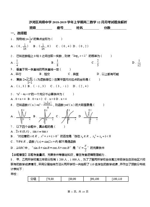 沙湾区高级中学2018-2019学年上学期高二数学12月月考试题含解析