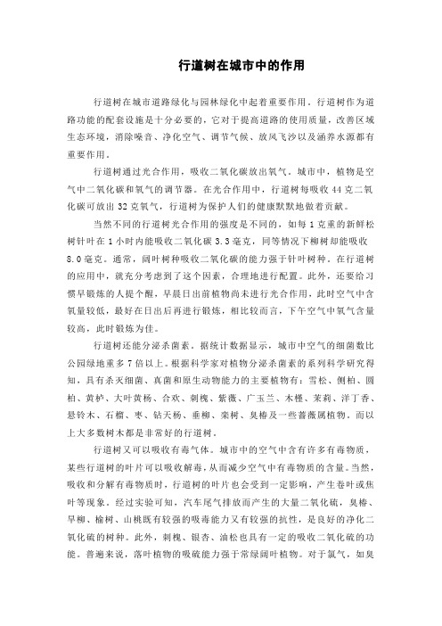 行道树在城市中的作用