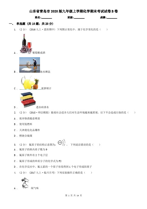 山东省青岛市2020版九年级上学期化学期末考试试卷B卷