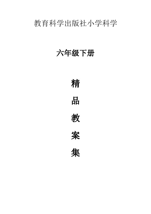 2020小学科学六年级下册教案