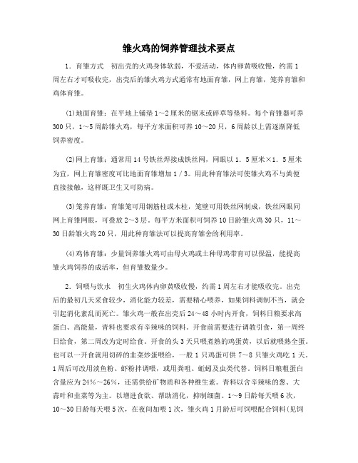 雏火鸡的饲养管理技术要点