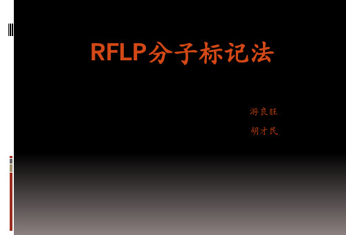 一、RFLP概念