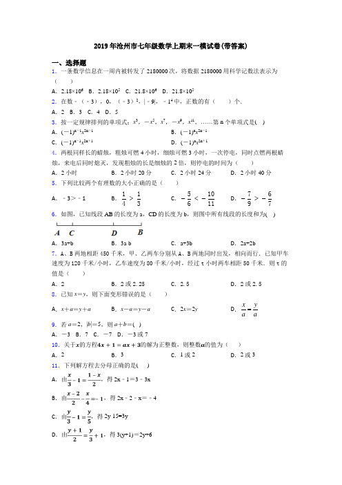 2019年沧州市七年级数学上期末一模试卷(带答案)