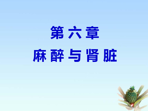 麻醉与肾脏