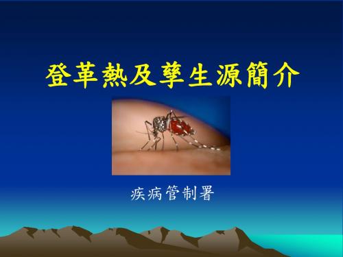 登革热的传播病媒蚊-斑蚊