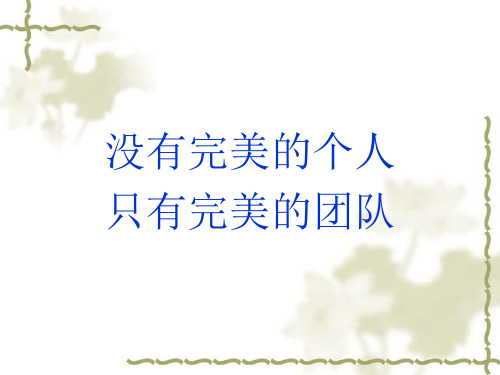 没有完美的个人,只有完美的团队