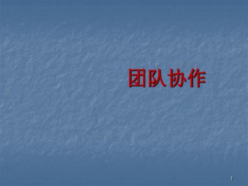 打造狼一样的团队ppt课件