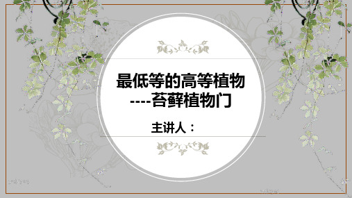 苔藓植物课件