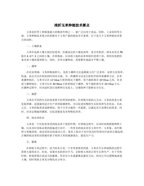 浅析玉米种植技术要点