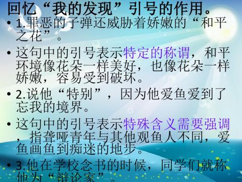 引号的作用 (3)课件