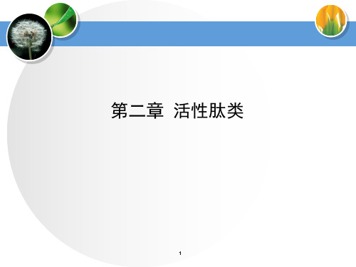 活性肽类产品PPT课件
