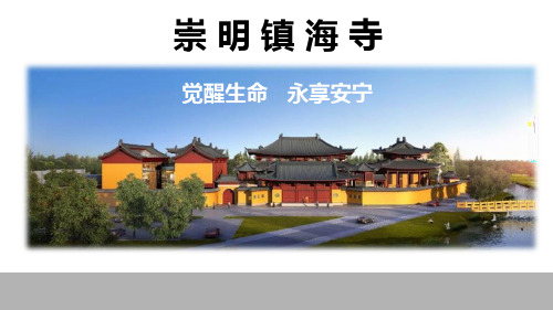 镇海寺路演ppt0601资料.