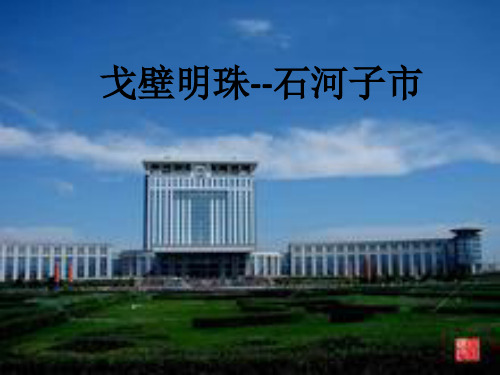 石河子ppt