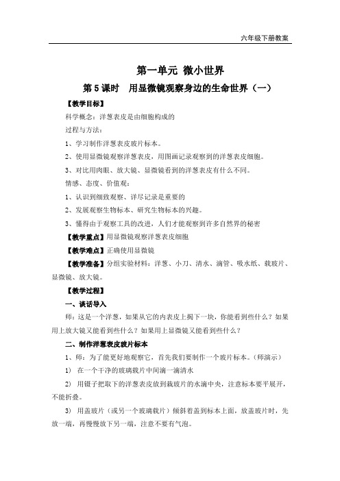 《用显微镜观察身边的生命世界(一)》教案