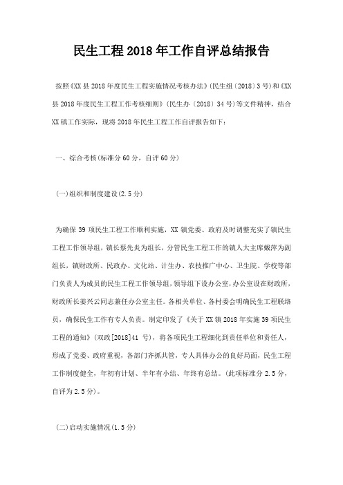 民生工程工作自评总结报告