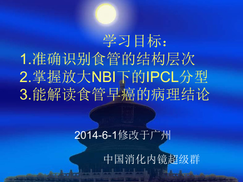 早期食管病变串讲(PPT修改)