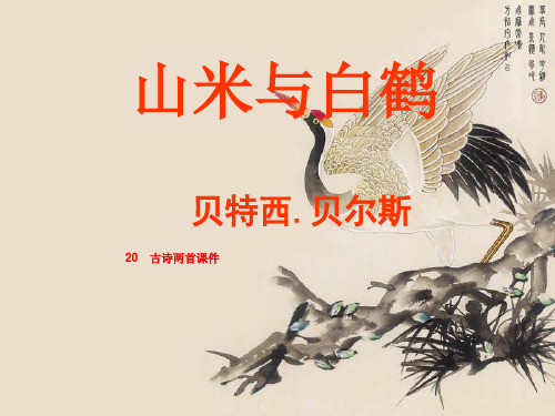 20 古诗两首课件 
