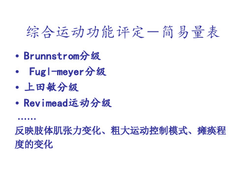 脑卒中运动控制评定