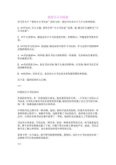 我的小小书法家