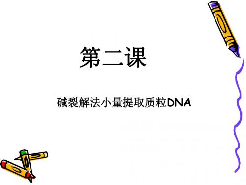 第二课 碱裂解法小量提取质粒DNA