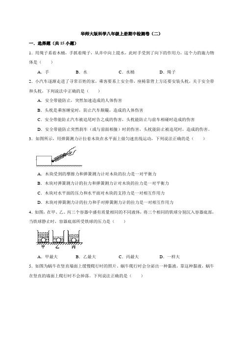期中检测卷(二)—华东师大版八年级科学上册期中综合复习检测