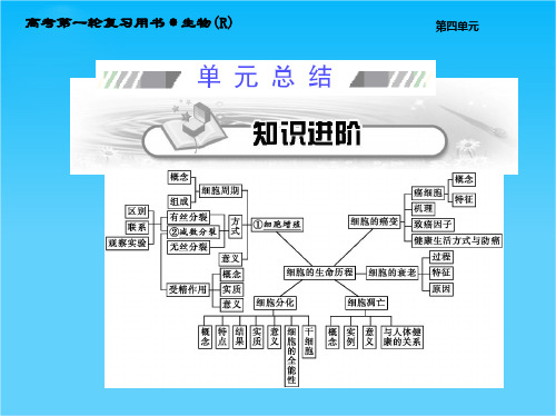 【考案】2015高考生物(人教版)一轮课件第04单元 细胞的生命历程 单元总结