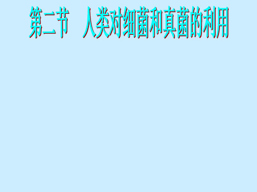 生物：《人类对细菌和真菌的利用》课件(人教版八年级上)