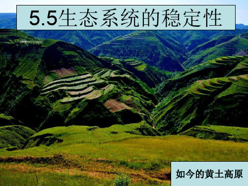 高中生物必修三第五章第五节 PPT课件 图文