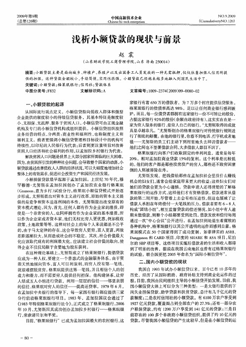 浅析小额贷款的现状与前景