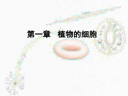 (完整版)1药用植物学-植物的细胞